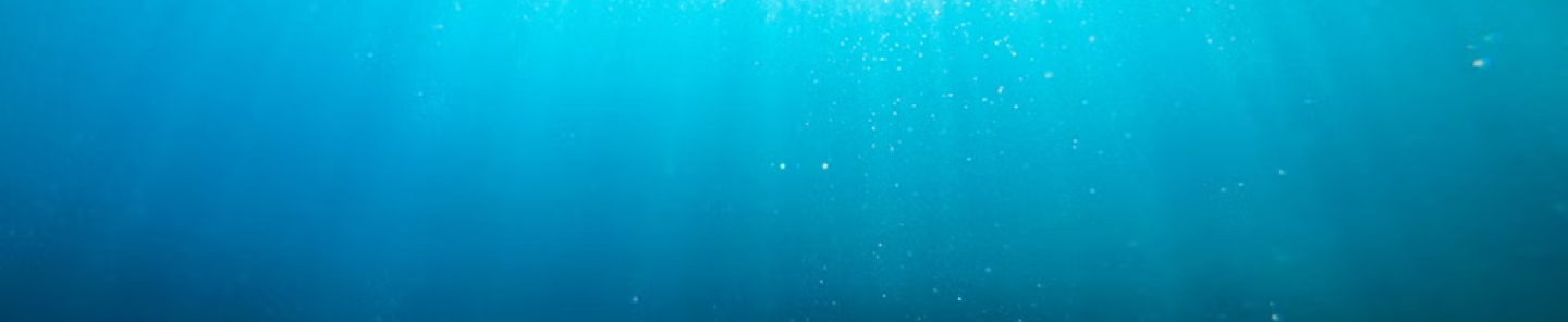banner ilustrando mar